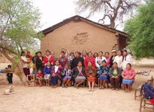 “A Mysterious Insect in Northern Chile.”                     